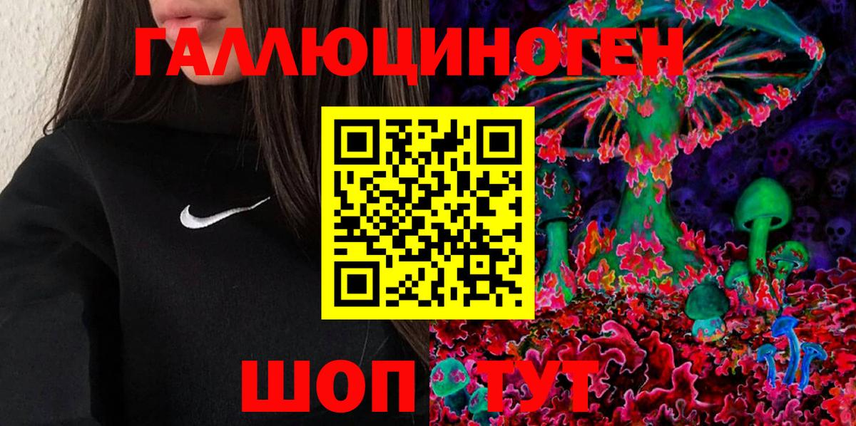 Галлюциногенные грибы прущие грибы Мурманск